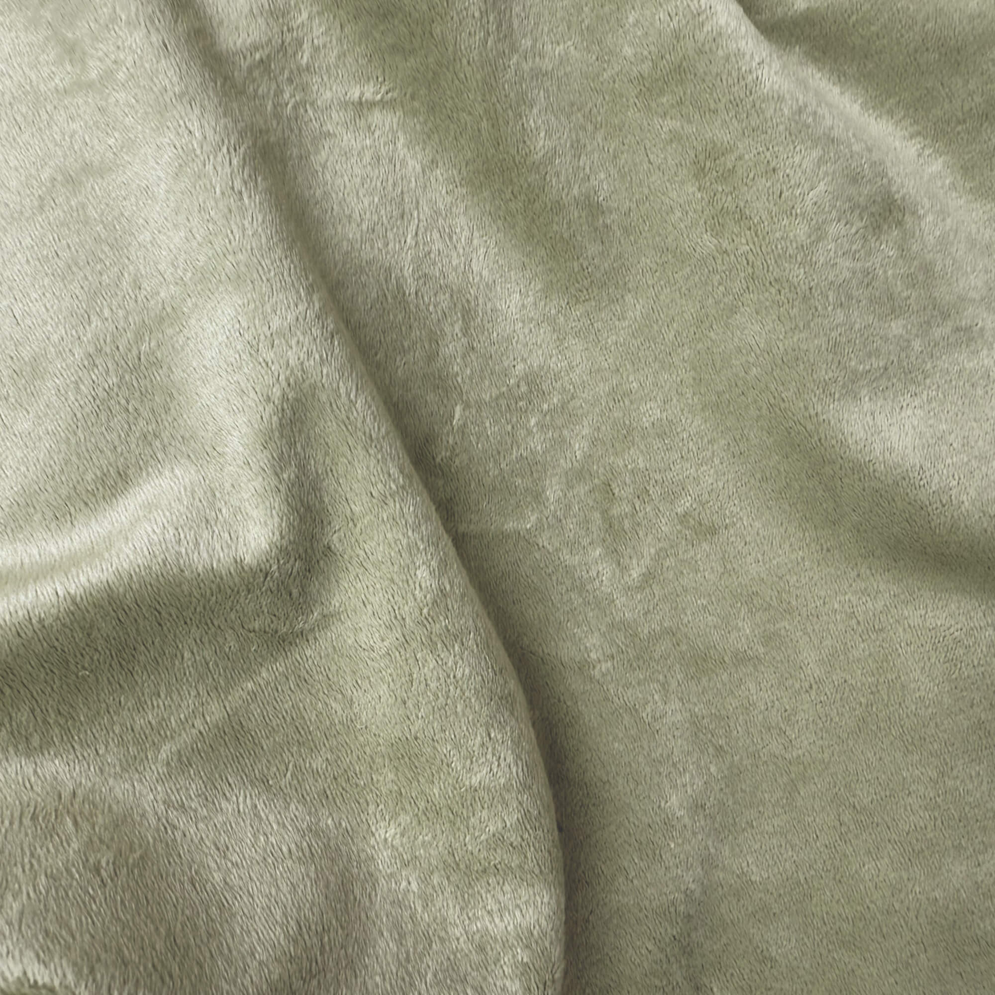 pelo-verde